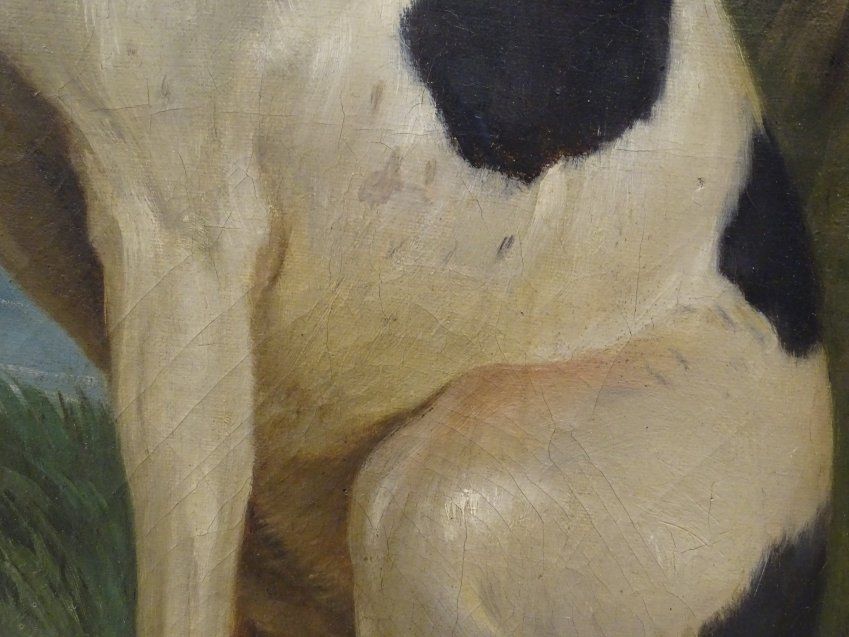 O/L Perro del Rey Luis XV Pompeya, Francia