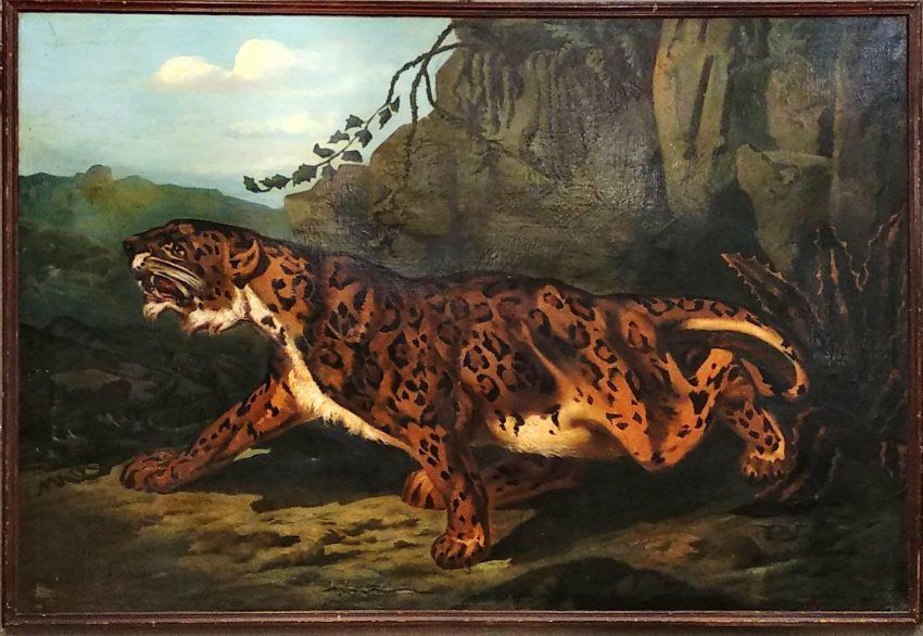 jaguar escuela francesa.jpg