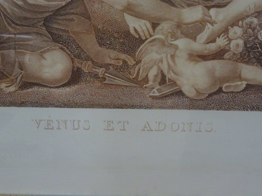 Litografía francesa Venus et Adonis