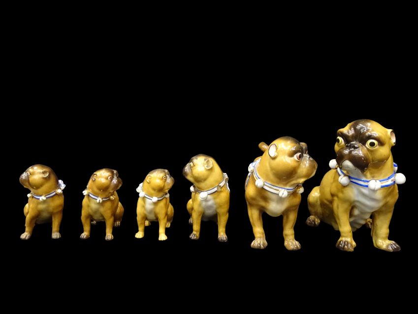 Familia de perros Pug, porcelana S
