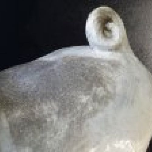 Escultura de carlino en cerámica