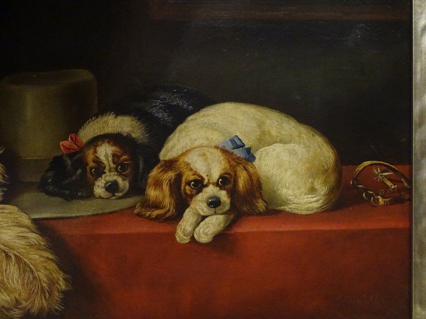 Óleo sobre lienzo "Cavalier King Dogs", maestro inglés S.XIX- firmado