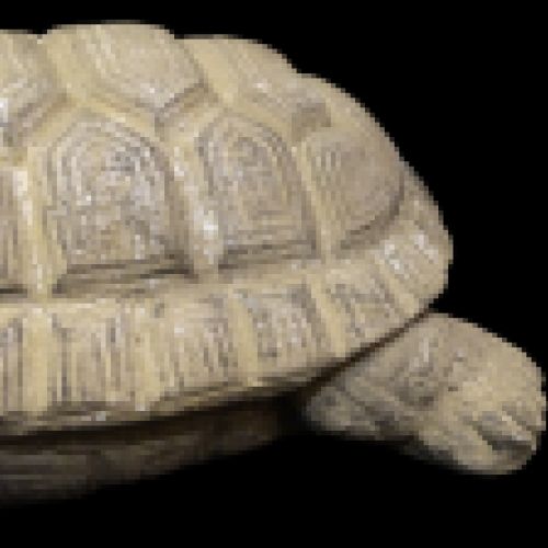 Escultura de tortuga en amalgama de Estuco, principios del siglo XX