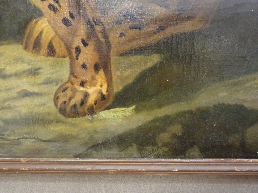 Óleo sobre lienzo francés,Tigre S.XIX