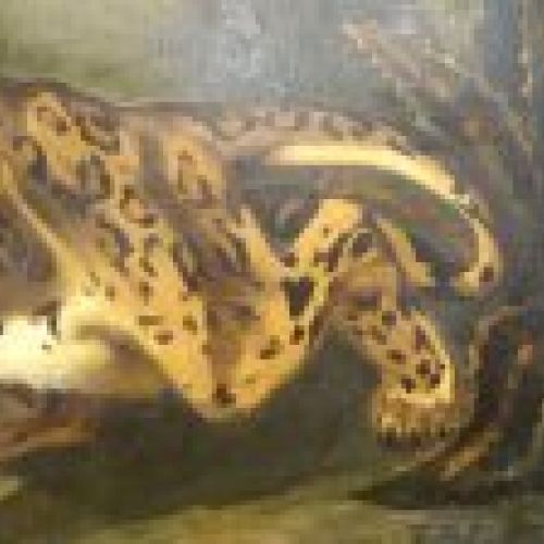 Óleo sobre lienzo francés,Tigre S.XIX
