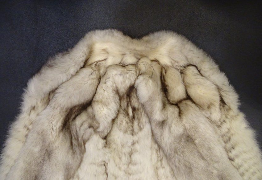 Abrigo de zorro polar ruso